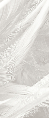 Blackout roller blind for window feathers