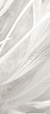 Blackout roller blind for window feathers