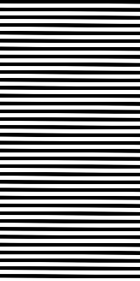 Blackout roller blind for window Black stripes