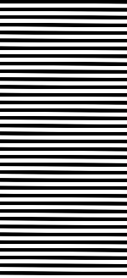 Blackout roller blind for window Black stripes