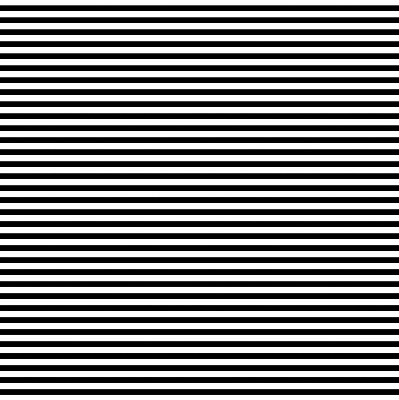 Blackout roller blind for window Black stripes