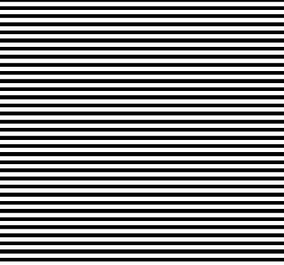 Blackout roller blind for window Black stripes