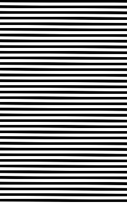 Blackout roller blind for window Black stripes