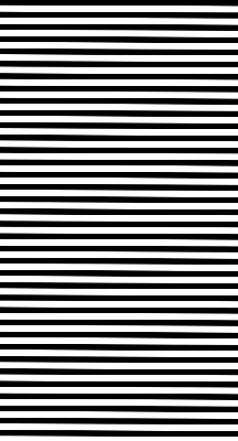 Blackout roller blind for window Black stripes