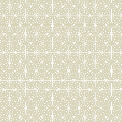 Blackout roller blind White dots connected by dots
