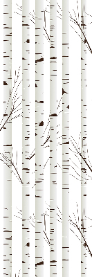 Fabric roller blind for window Birches
