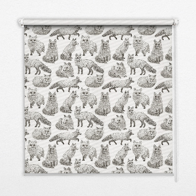 Blackout roller blind for window Gray foxes
