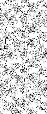 Blackout roller blind Sketched flowers