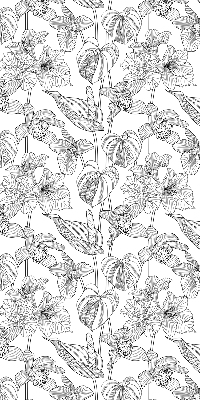 Blackout roller blind Sketched flowers