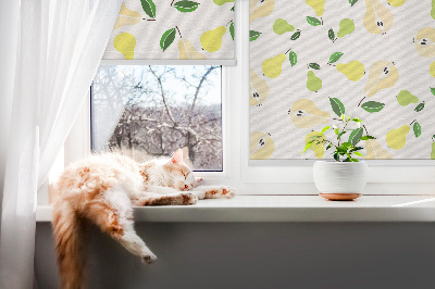 Fabric roller blind for window Pears