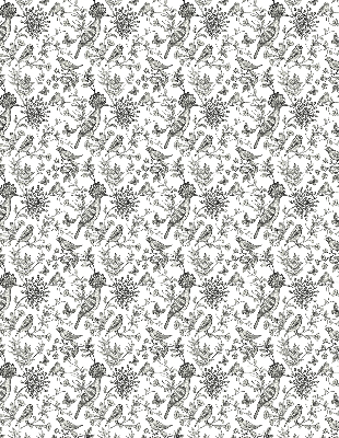 Blackout roller blind Drawn birds and plants