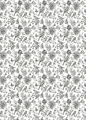 Blackout roller blind Drawn birds and plants