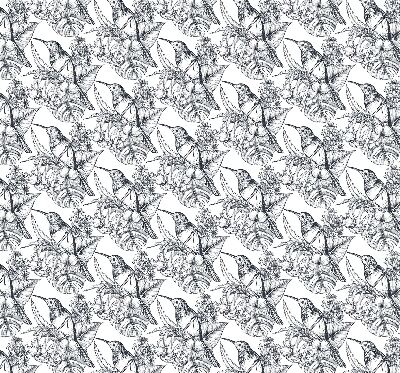 Blackout roller blind for window Drawn flowers