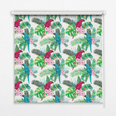 Fabric roller blind for window Parrots