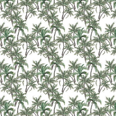 Blackout roller blind Palm trees