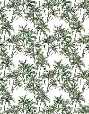 Blackout roller blind Palm trees