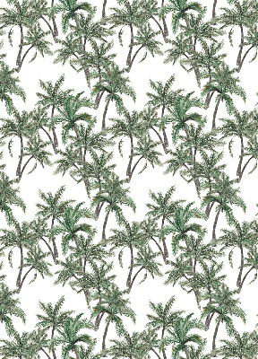 Blackout roller blind Palm trees