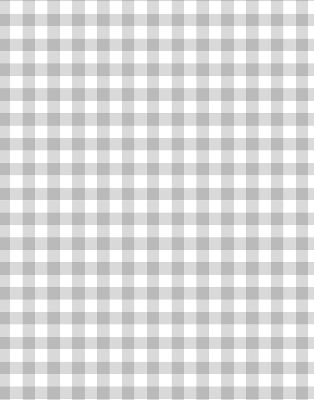 Fabric roller blind for window Gray checks