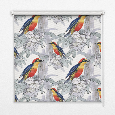 Fabric roller blind for window Colorful bird