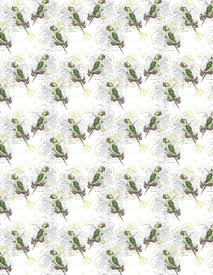 Fabric roller blind for window Parrots on a branch