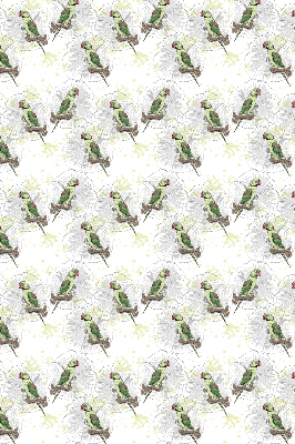 Fabric roller blind for window Parrots on a branch