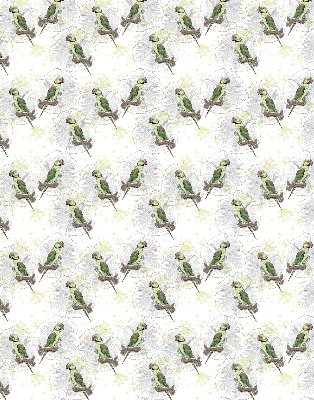 Fabric roller blind for window Parrots on a branch