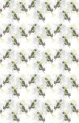 Fabric roller blind for window Parrots on a branch