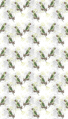 Fabric roller blind for window Parrots on a branch