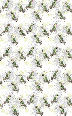 Fabric roller blind for window Parrots on a branch