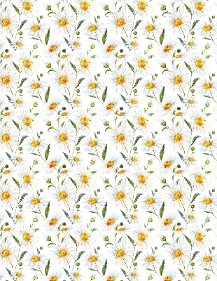 Blackout roller blind for window Daisies