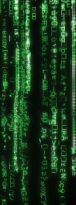 Blackout roller blind for window Green ciphers