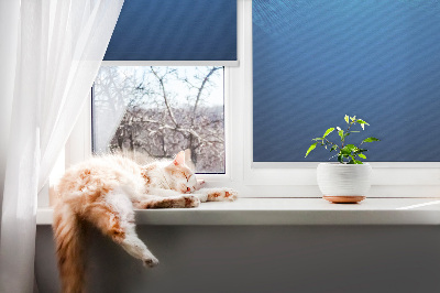 Blackout roller blind for window Blue animation