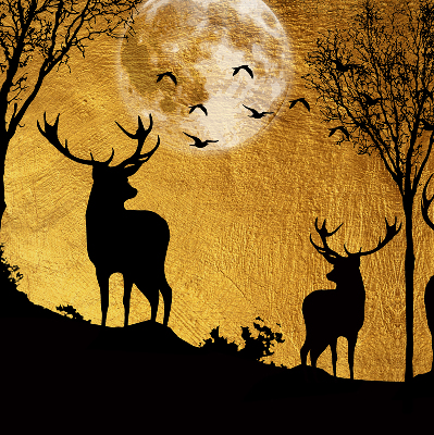 Blackout roller blind for window Deer at night