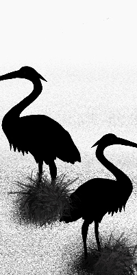 Blackout roller blind Herons