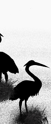 Blackout roller blind Herons