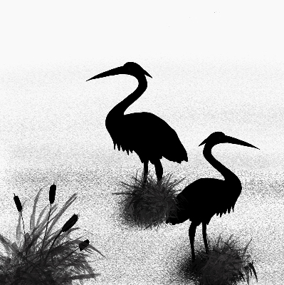 Blackout roller blind Herons