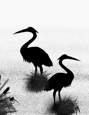 Blackout roller blind Herons