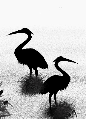 Blackout roller blind Herons