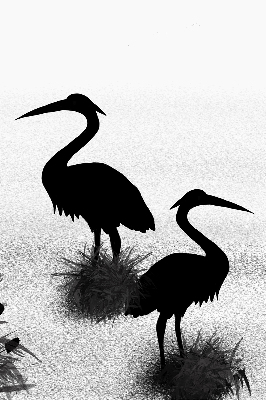 Blackout roller blind Herons