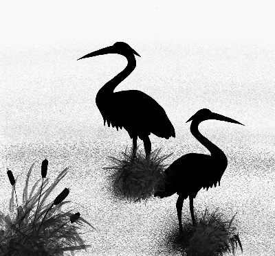 Blackout roller blind Herons