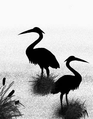 Blackout roller blind Herons