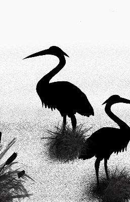 Blackout roller blind Herons