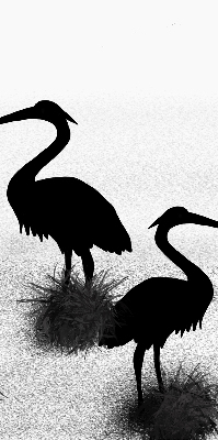 Blackout roller blind Herons