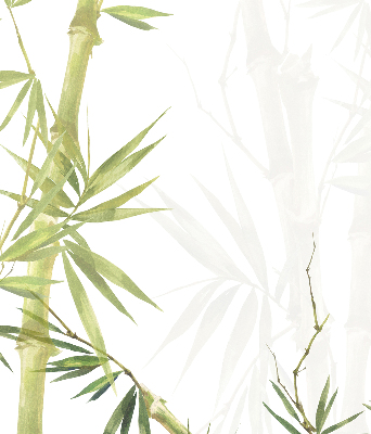 Blackout roller blind Bamboo