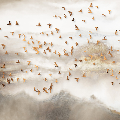 Fabric roller blind for window A flock of birds