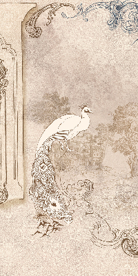 Blackout roller blind for window Vintage birds