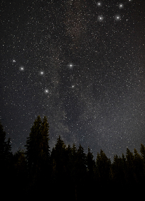 Blackout roller blind for window Stars in the sky