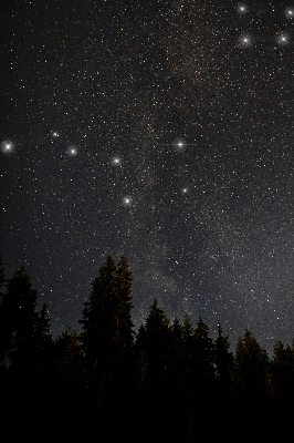 Blackout roller blind for window Stars in the sky