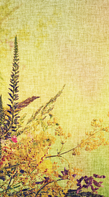 Fabric roller blind for window Plants