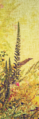 Fabric roller blind for window Plants